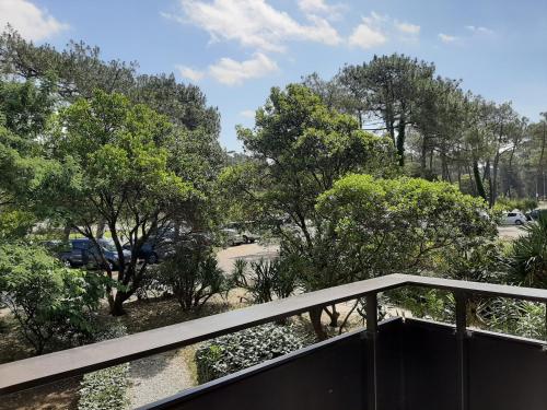 Appartement Seignosse 1 pièce 2 personnes - FR-1-239-437 - image 10