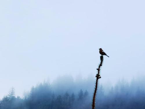 East Lodge, Glenfintaig East Lodge, Glenfintaig