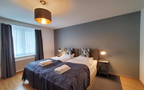 Apartment Via Surpunt - Cresta or Anda - 3 Rooms