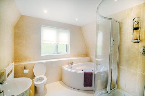 Lodges in Lanivet Cornwall with indoor pool, Bodmin (fotografie 6)