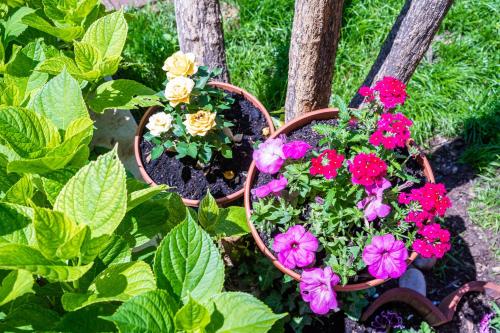 Studio apartment Lapad