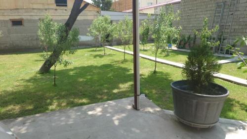 MEGI, Fergana (photo 4)