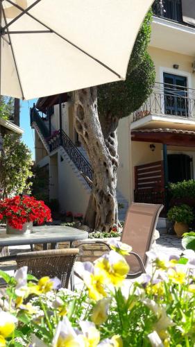 Flowers studios in Corfu