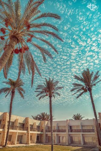 Discover the Hidden Gems of Al-Arish: A Tourist's Guide - Cuisine and Local Delicacies
