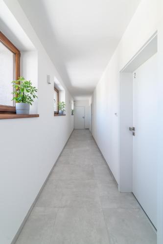 4 pokoje, Ostrava (fotografie 4)