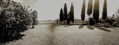 Podere Pievina Delle Corti - Suites - image 5