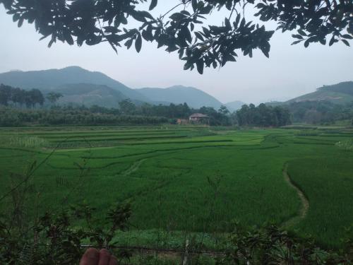 Giang Tien Homestay-VuLinh Farmstay ThacBa