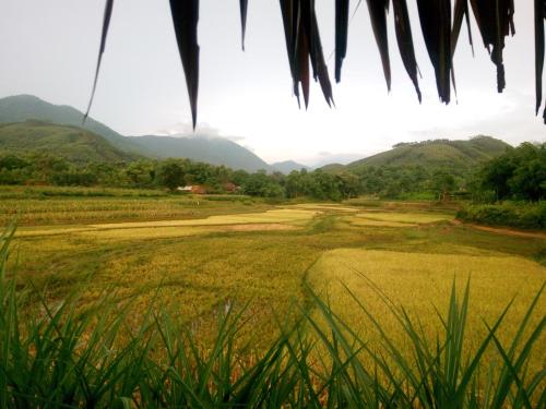 Giang Tien Homestay-VuLinh Farmstay ThacBa