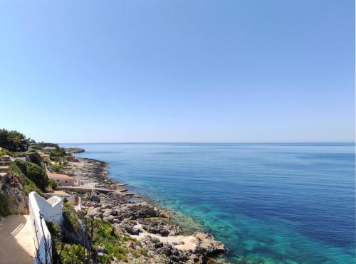 La Rosa Sul Mare