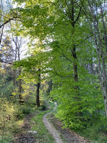 주변 환경, Spjutsbygds Gårds Bed and Breakfast (Spjutsbygds Gards Bed and Breakfast) in 뢰데뷔