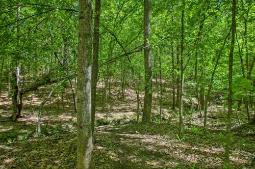 Lovely Wooded Cabin with Numerous Trails On-Site!