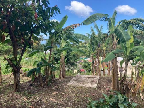 Garden, 2 Bed Villa - Sleeps 4 - Sea View & 10min to Beach in Gouyave