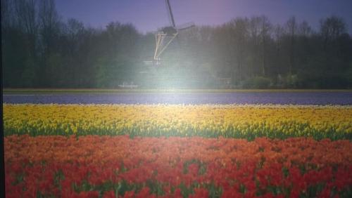Grand Hotel Central, Rotterdam (photo 6)