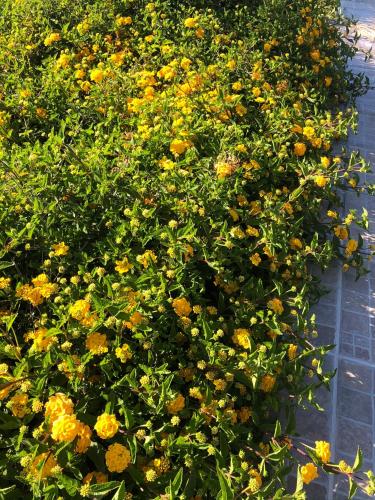 La Casa di Flo Luxury Rooms in Gallipoli