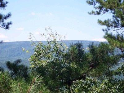 Above the Rest - image 11