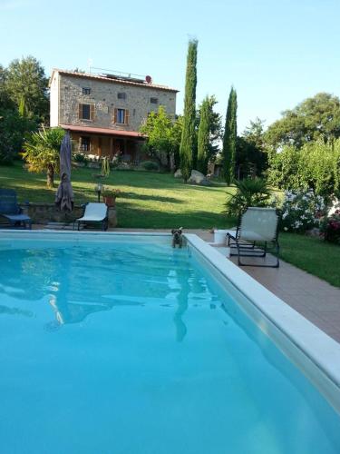 Podere Fungaio - Belocations gîte à louer Sassofortino