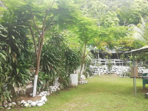 Donde Familia Manito in 帕基拉