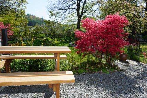 Lake View Country House - image 13