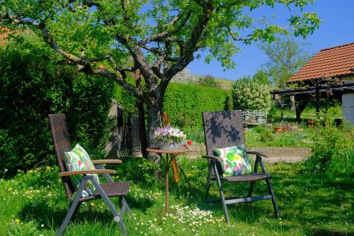 Kert, Ferienweingut Wissing Wohnung Frieda in Gleiszellen-Gleishorbach
