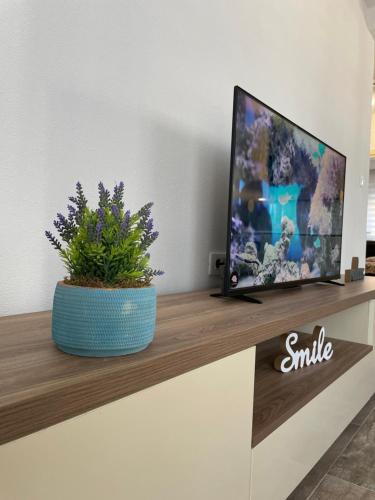 Apartman Holiday - image 5