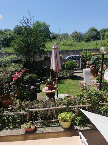  Appartamento Orchidea in Montemerano
