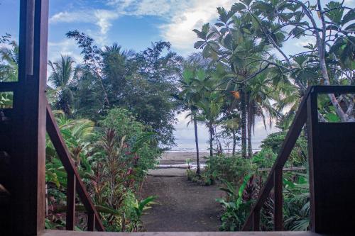 Skats, The Pelican House Hostel in Bahia Solano (Choco)