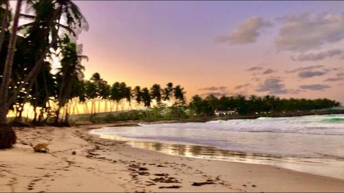 Baoba Breeze Bed & Breakfast- beachfront paradise