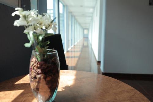 Hotel Plaza Delta – Mexico City, NH