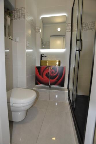 Studio Naturiste 