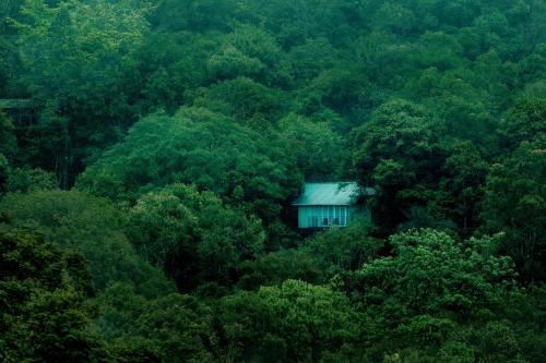 Wayanad Wild  Rainforest Lodge by CGH Earth