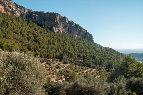 El Nido Alaro - image 5