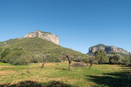 El Nido Alaro - image 13