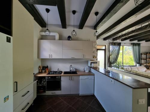 Casa Yla in Pângăraţi