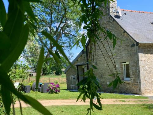 ทัศนียภาพ, Le paradis des oiseaux in เทรเบอร์เดน