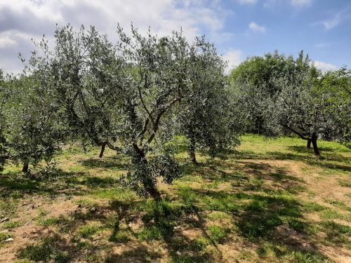  La casetta di Bianca, Pension in Riccò del Golfo di Spezia