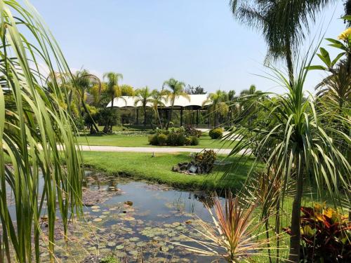 Huayacán Cuernavaca Curamoria Collection in Jiutepec, Mexico