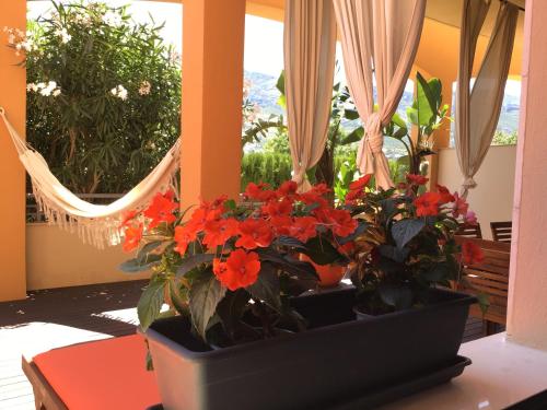 Denia Deluxe Chillout Experience