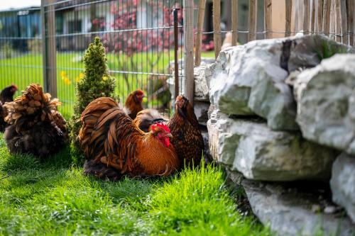 dasKAISER - Dein Gartenhotel in Tirol