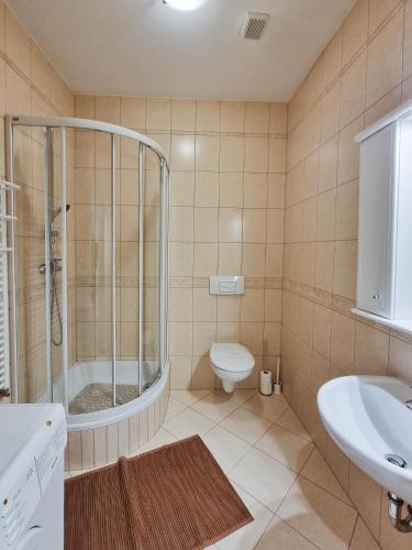 One-Bedroom Apartment image 2