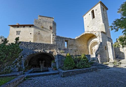 Les Hospitaliers - image 13