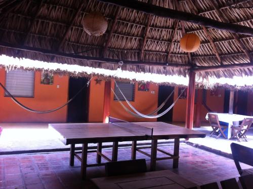 Attractions, Hotel El Delfin in Monterrico