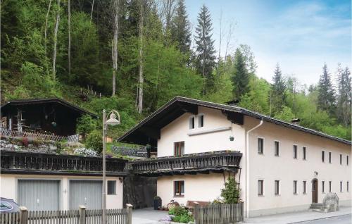 Hotel-overnachting met je hond in Nice apartment in Mühlbach am Hochkönig w/ WiFi and 1 Bedrooms - Mühlbach am Hochkönig