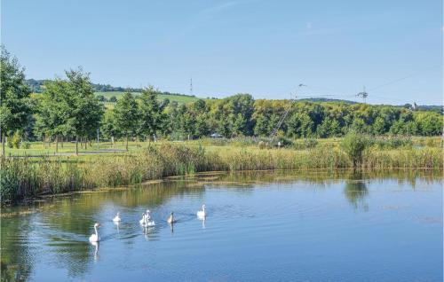 2 Bedroom Amazing Home In Riol An Der Mosel