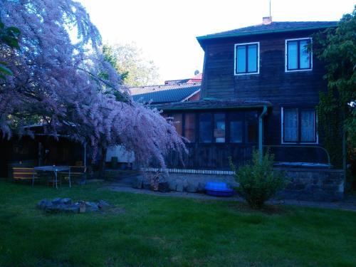 Old Summer House with renovated bathroom, Praha (fotografie 4)