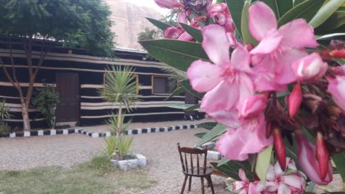 Wadi Rum Village Lodge - Tap to explore photos