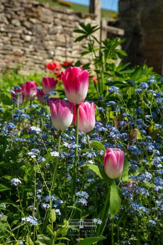 Cliff House Holiday Cottages - image 14