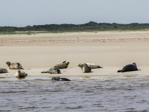 Traumhafter Nordseeurlaub im modernen Ferienhaus mit großem Garten, Kamin und Strandkorb