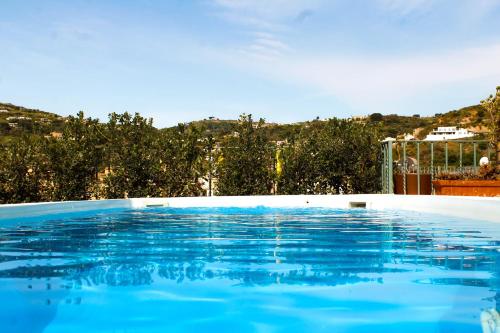 Residence Acanto - 전망