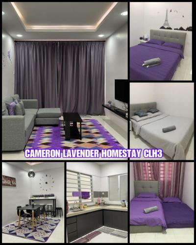 Cameron Lavender Homestay 3 - Tap to explore photos