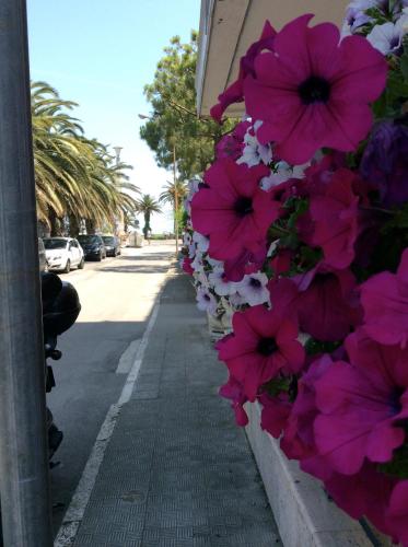 Hotel La Palazzina – San Benedetto del Tronto, MO